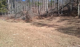 99999 Big Rock Creek Dr, Bakersville, NC 28705