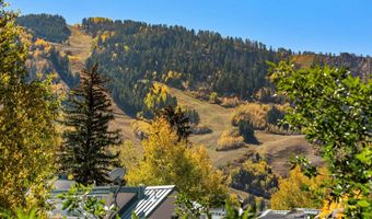 725 E Main St #309, Aspen, CO 81611