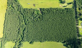 Jolene Road, Basile, LA 70515