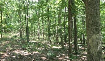 3751 CR 1313 County Road 1313 Crane Lake Rd, Arcadia, MO 63621
