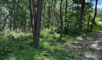 81 CABIN Rd, Augusta, WV 26704