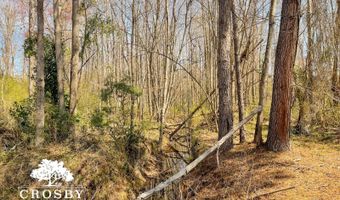 0 Plowden Mill Rd, Alcolu, SC 29001