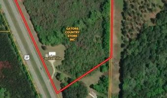 7821 Tallahassee Hwy 8.98+/- Acres, Attapulgus, GA 39815