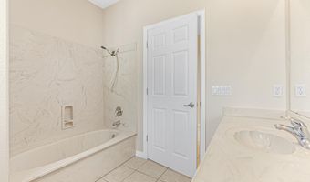 1207 FIGHTING BUCK Ave, Alpine, TX 99999