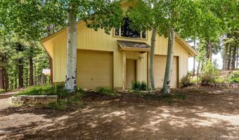 59 Palo Flechado Ridge Rd, Angel Fire, NM 87710