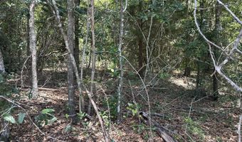 W Watson Street, Andalusia, AL 36420