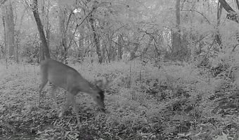 Williams Street, Brookhaven, MS 39601