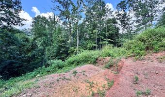 7 Winter Hawk Dr 3, Arden, NC 28704