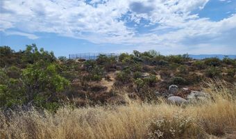 1007 Roan Way, Aguanga, CA 92536
