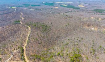 Larkin Mountain, Amherst, VA 24521