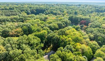 1290 Cramton Ave NE, Ada, MI 49301