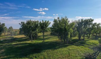TBD County Road 170, Agate, CO 80101