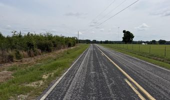 Attadale Rd lot 2, Blenheim, SC 29516