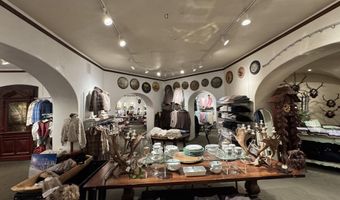 419 E Cooper Ave, Aspen, CO 81611