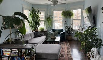 2145 Dorchester Ave 3, Boston, MA 02124