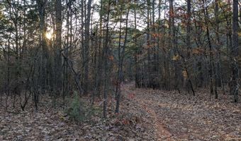 0 Water Tower Rd, Atkins, AR 72823