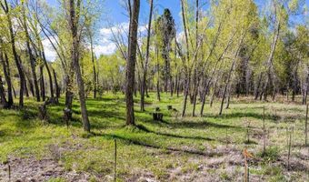 65 Pinestone Dr, Bayfield, CO 81122
