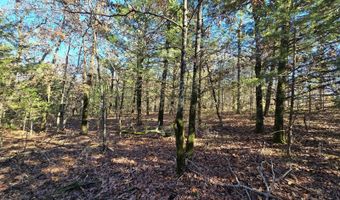 TBD Raw Land, Bates, AR 74953