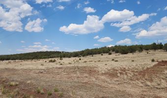 2544 N Double A Rnch Rd, Ash Fork, AZ 86320
