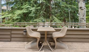 100 N Eighth St 3, Aspen, CO 81611