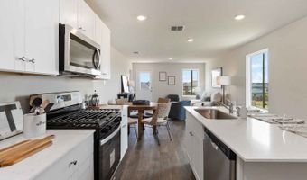 1707 Zander Ct Plan: Atlanta, Alvin, TX 77511