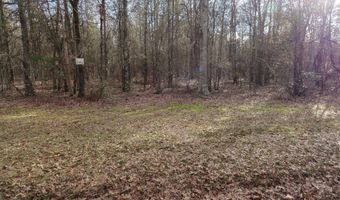 1207 Highway 36 W, Barnesville, GA 30204