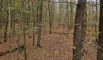 001 CR 532, Avalon, MS 38917