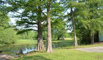 27490 Donnie Harrelson Ln, Andalusia, AL 36421