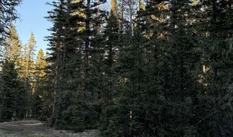 Happy Way lot 45, Angel Fire, NM 87710
