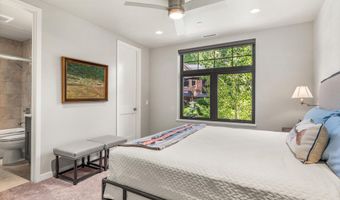 102 Wild Spring Ln, Basalt, CO 81621