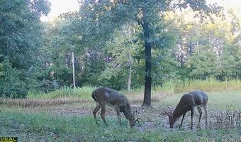 14782 County Road 7990, Bakersfield, MO 65609