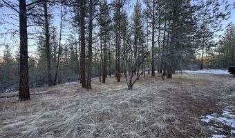 Bobcat Circle, Beatty, OR 97621
