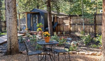 11982 Peak To Peak Dr, Allenspark, CO 80510