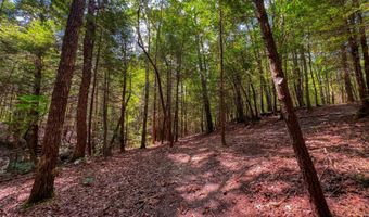 54 E Ridge Rd, Allardt, TN 38504