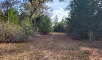 NW Tommy Tucker Road lot 1, Altha, FL 32421