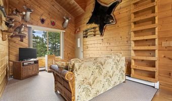 9201 Wreck Rd, Alpena, MI 49707