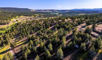 737 Raccoon Ln, Alturas, CA 96101