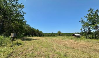 Ms-25, Brandon, MS 39047
