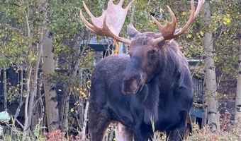 423 Mountain Meadows Dr, Black Hawk, CO 80422