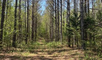 000 Fowler Rd, Beech Bluff, TN 38313