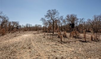 6199 County Road 335, Anson, TX 79501