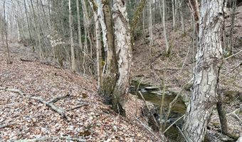 VL Lot 10 Brennan Road, Addison, NY 14801