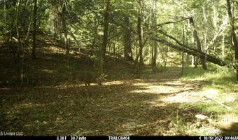 2233 Holloman Rd, Bentonia, MS 39040