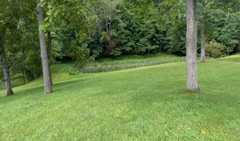 572 Dameron Rd, Ballard, WV 24918