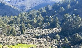 Mill Creek, Battle Mountain, NV 89820