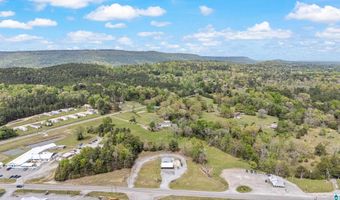 38178 US HWY 231, Ashville, AL 35953