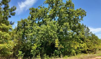 County Road 38, Autaugaville, AL 36003