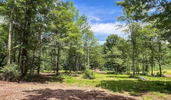0 Woodland Hills Rd, Andes, NY 13731