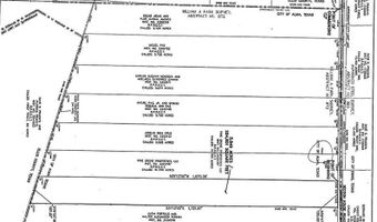 Tbd Section House Road, Alba, TX 75119