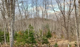 Lot 3 W. McMann & Porcupine Hill Road, Addison, ME 04606